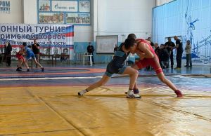 В Волгограде состоялся традиционный турнир по греко-римской борьбе