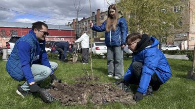 Тысячи волгоградцев помогают преображать город