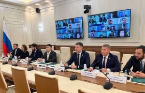 Дмитрий Федюшкин принял участие в заседании Экспертного совета Палаты молодых законодателей при Совете Федерации РФ