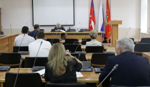 В преддверии заседания в комитетах гордумы продолжается работа
