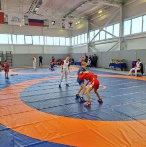 Три вида единоборств, 1200 спортсменов: Волгоград укрепляет славу спортивного города героя 